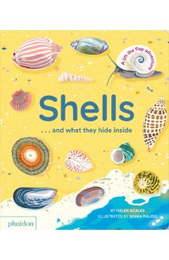Shells... and What They Hide Inside: A Lift-The-Flap Adventure - Helen Scales