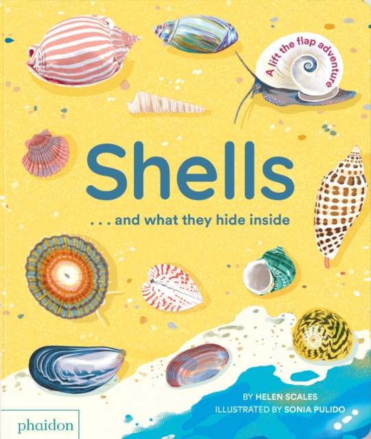 Shells... and What They Hide Inside: A Lift-The-Flap Adventure - Helen Scales