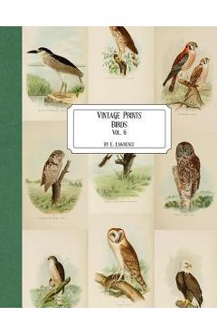 Poza produsului Vintage Prints: Birds: Vol. 6 - E. Lawrence
