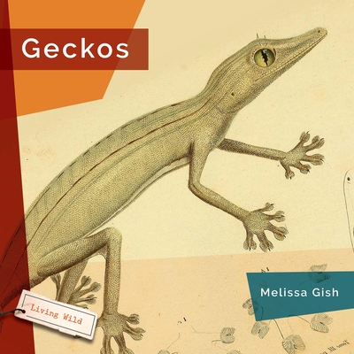 Geckos - Melissa Gish