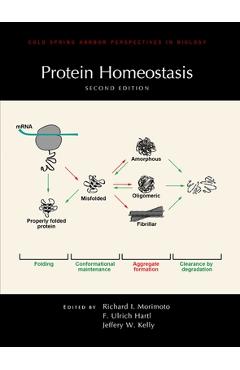 Coperta cărții 'Protein Homeostasis, Second Edition - Jeffery W. Kelly'