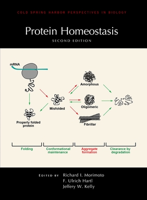 Coperta cărții 'Protein Homeostasis, Second Edition - Jeffery W. Kelly'