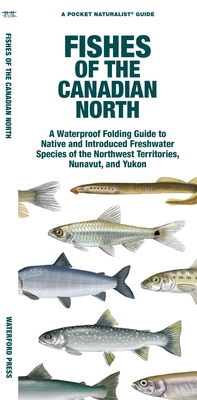 Fishes of the Canadian North: A Waterproof Folding Guide to Native and Introduced Freshwater Species of the Northwest Territories, Nunavut and Yukon - Matthew Morris