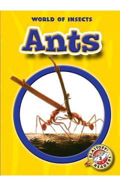 Poza produsului Ants - Emily K. Green