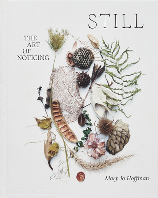 Still: The Art of Noticing - Mary Jo Hoffman