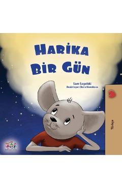 Coperta cărții 'A Wonderful Day (Turkish Book for Children) - Sam Sagolski'