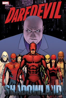 Daredevil: Shadowland Omnibus Cassaday Cover [New Printing] - Andy Diggle