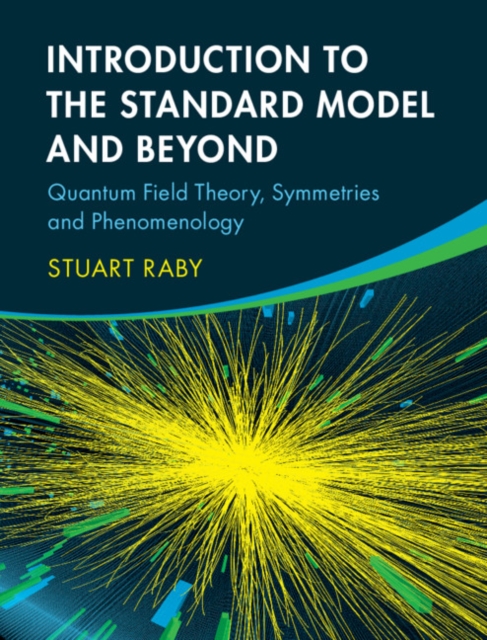 Introduction to the Standard Model and Beyond: Quantum Field Theory, Symmetries and Phenomenology - Stuart Raby