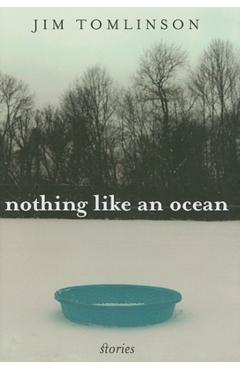 Poza produsului Nothing Like an Ocean: Stories - Jim Tomlinson