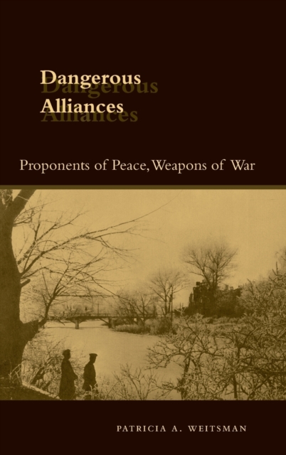 Dangerous Alliances: Proponents of Peace, Weapons of War - Patricia A. Weitsman