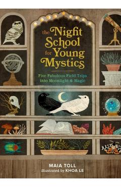 The Night School for Young Mystics: Five Fabulous Field Trips Into Moonlight and Magic - Maia Toll