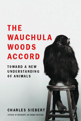Wauchula Woods Accord - Charles Siebert