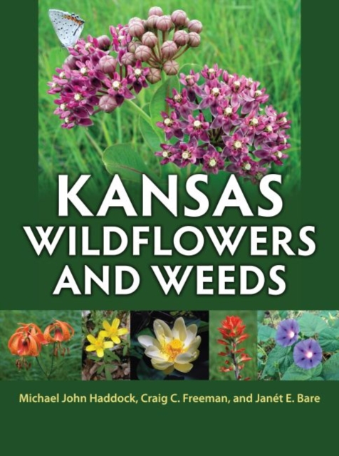 Kansas Wildflowers and Weeds - Michael John Haddock