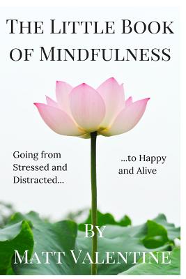 Coperta cărții 'The Little Book of Mindfulness - Matt Valentine'