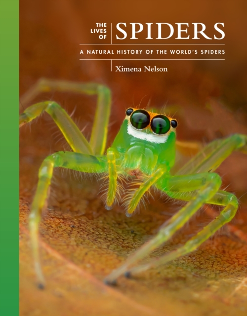The Lives of Spiders: A Natural History of the World's Spiders - Ximena Nelson