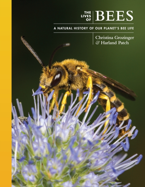 The Lives of Bees: A Natural History of Our Planet's Bee Life - Harland Patch
