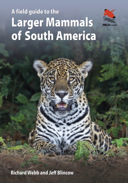 A Field Guide to the Larger Mammals of South America - Richard Webb