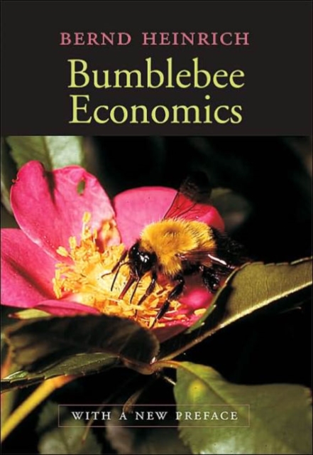 Bumblebee Economics: With a New Preface - Bernd Heinrich