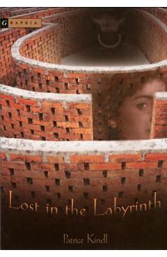 Coperta cărții 'Lost in the Labyrinth - Patrice Kindl'