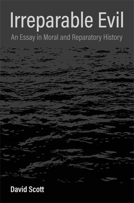 Irreparable Evil: An Essay in Moral and Reparatory History - David Scott