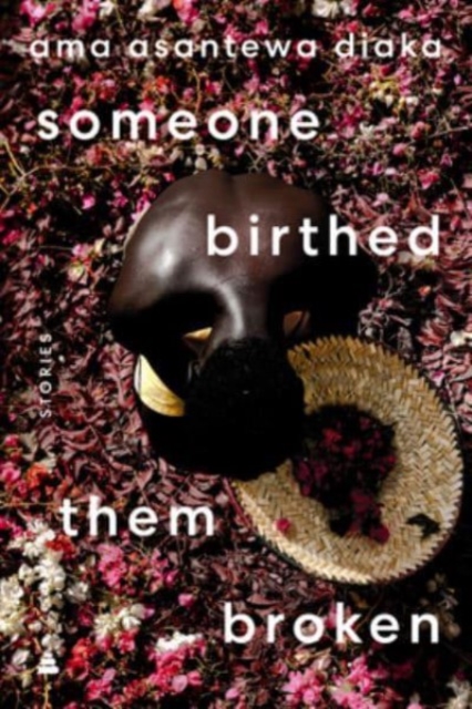 Someone Birthed Them Broken: Stories - Ama Asantewa Diaka