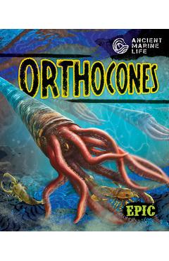 Coperta cărții 'Orthocones - Kate Moening'