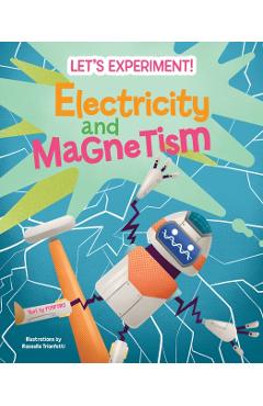 Electricity and Magnetism - Mattia Crivellini