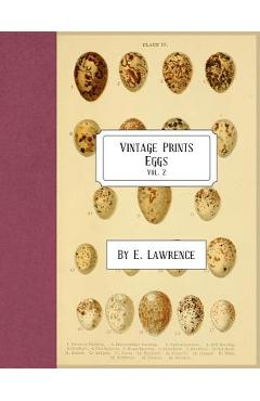 Poza produsului Vintage Prints: Eggs: Vol. 2 - E. Lawrence
