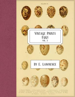 Vintage Prints: Eggs: Vol. 2 - E. Lawrence