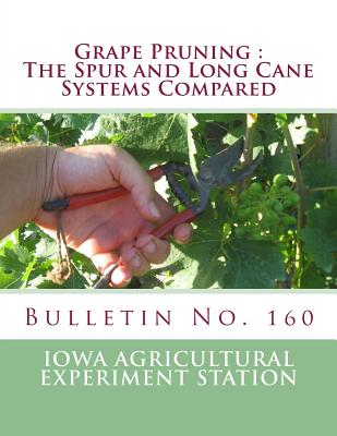 Grape Pruning: The Spur and Long Cane Systems Compared: Bulletin No. 160 - T. J. Maney