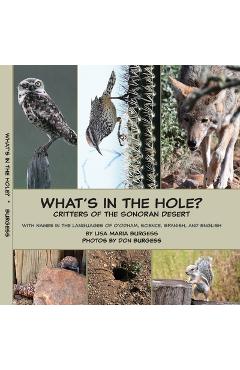 Coperta cărții 'What's in the hole? Critters of the Sonoran Desert: with names in the languages of O'odham, Science, Spanish, and'