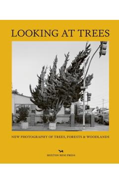 Looking at Trees: New Photography of Trees, Forests and Woodlands - Sophie Howarth