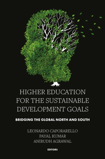 Higher Education for the Sustainable Development Goals: Bridging the Global North and South - Leonardo Caporarello