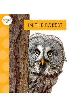 Coperta cărții 'In the Forest - Alissa Thielges'