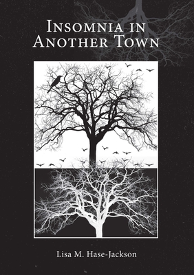 Insomnia in Another Town - Lisa M. Hase-jackson