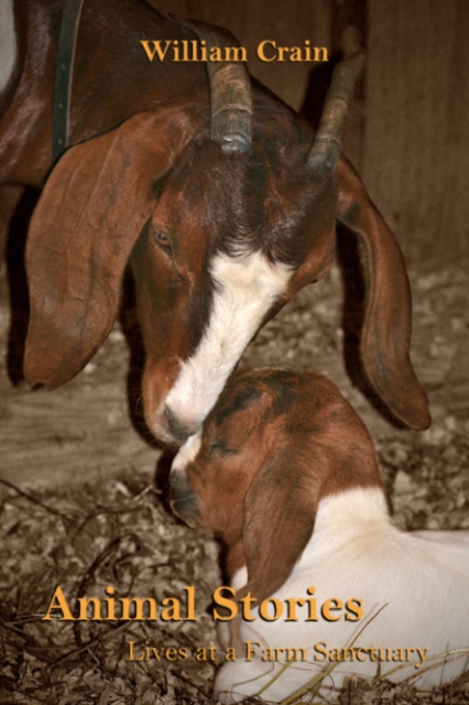 Animal Stories: Lives at a Farm Sanctuary - William Crain