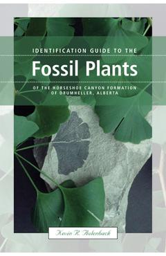 Coperta cărții 'Identification Guide to the Fossil Plants of the Horseshoe Canyon Formation of Drumheller, Alberta - Kevin Aulenback'
