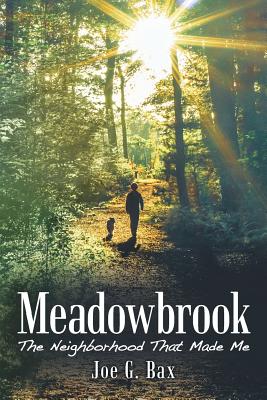Meadowbrook: The Neighborhood That Made Me - Joe G. Bax