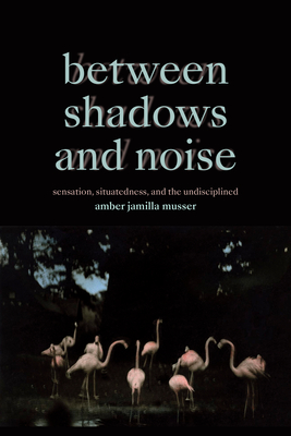 Between Shadows and Noise: Sensation, Situatedness, and the Undisciplined - Amber Jamilla Musser