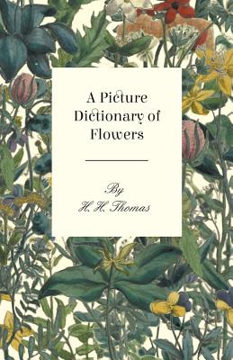 A Picture Dictionary of Flowers - H. H. Thomas
