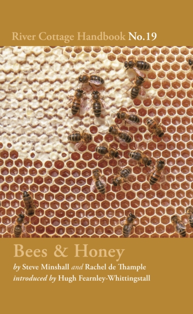 Bees & Honey: River Cottage Handbook No.19 - Rachel De Thample