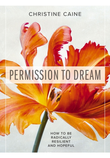 Permission to Dream: How to Be Radically Resilient and Hopeful - Christine Caine