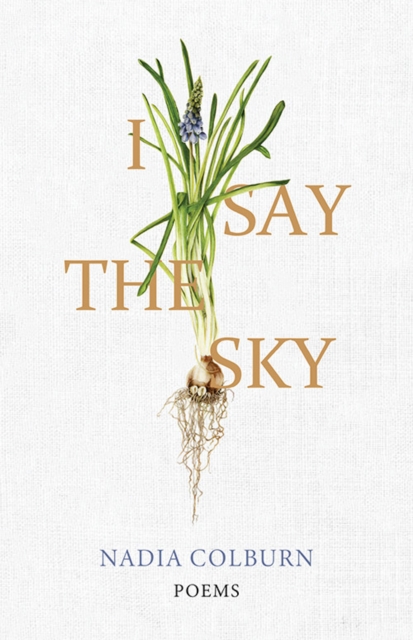 I Say the Sky: Poems - Nadia Colburn