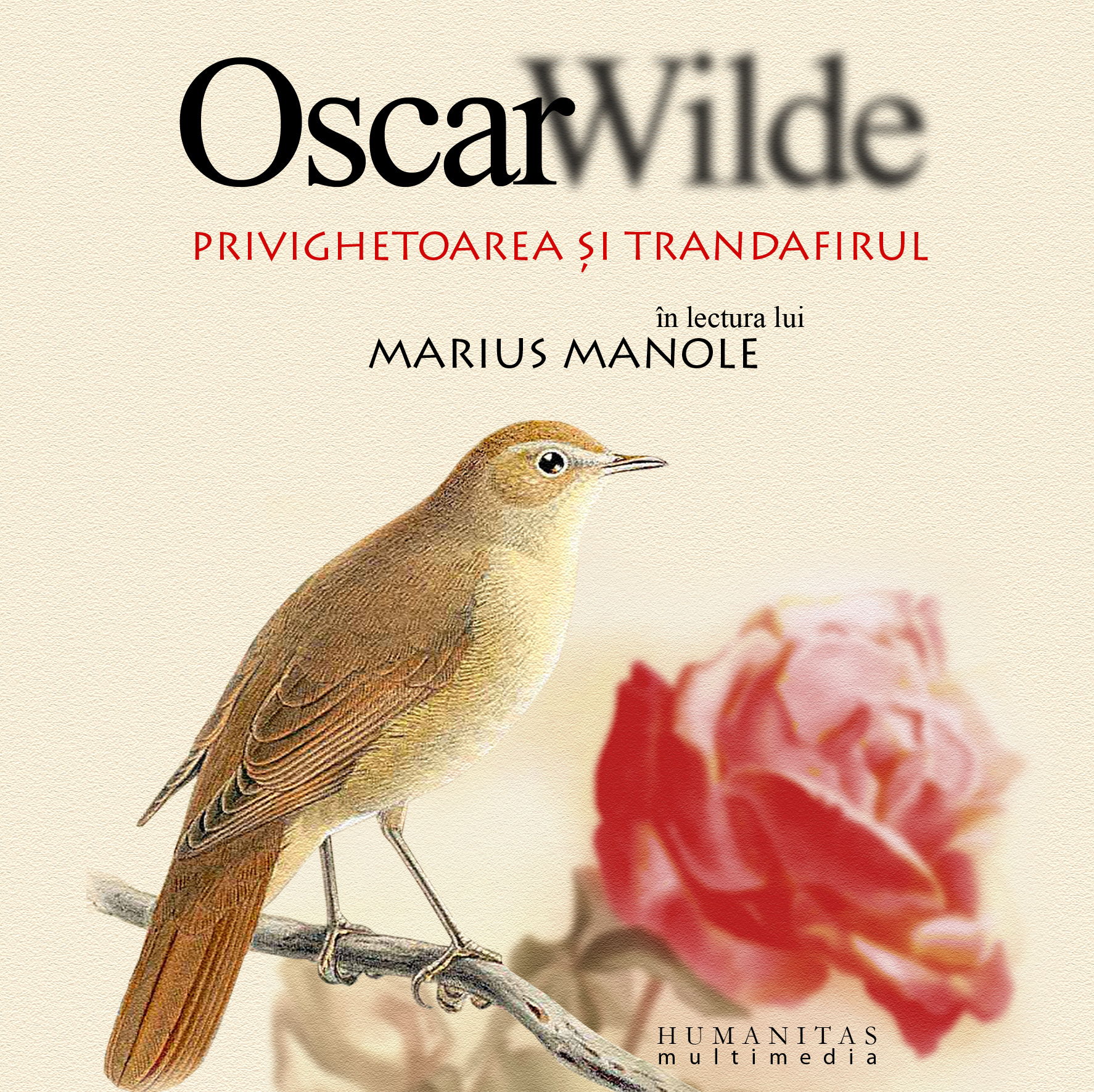 Coperta cărții 'Audiobook CD - Privighetoarea si trandafirul - In Lectura Lui Marius Manole'