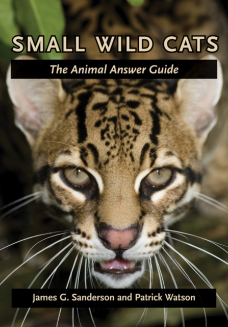 Small Wild Cats: The Animal Answer Guide - James G. Sanderson