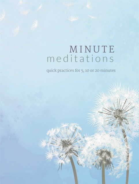 Minute Meditations: Quick Practices for 5, 10 or 20 Minutes - Madonna Gauding