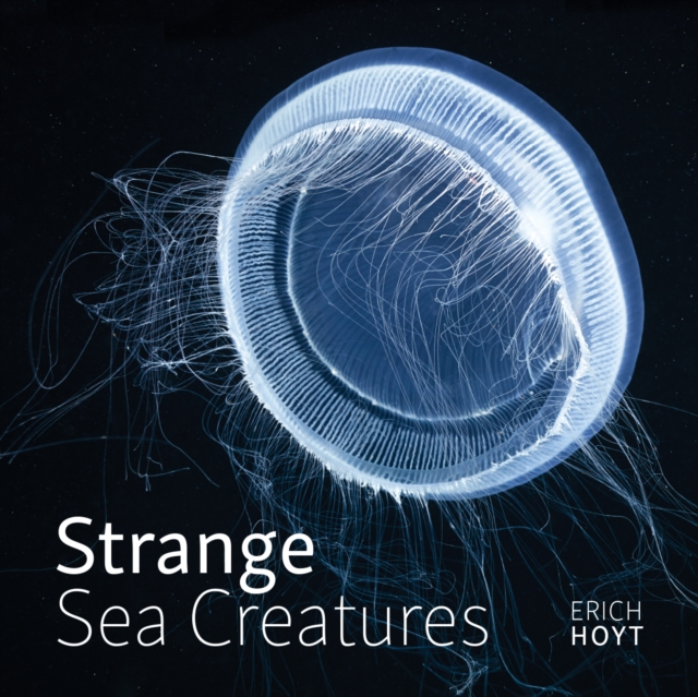 Strange Sea Creatures - Erich Hoyt