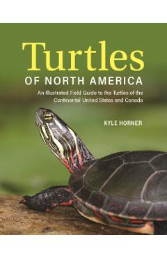 Coperta cărții 'Turtles of North America: An Illustrated Field Guide to the Turtles of the Continental United States and Canada - Kyle'