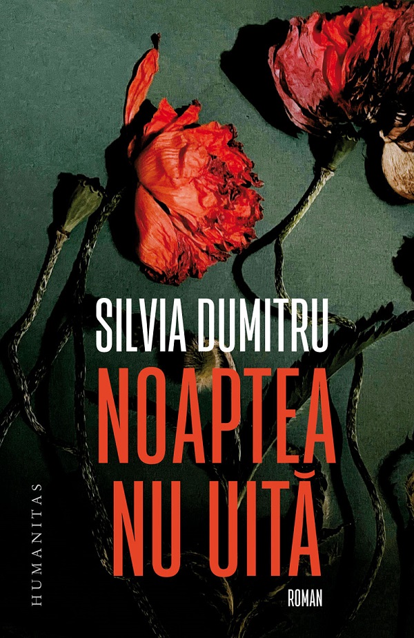 Noaptea nu uita - Silvia Dumitru