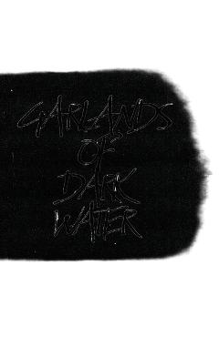 First slide Image